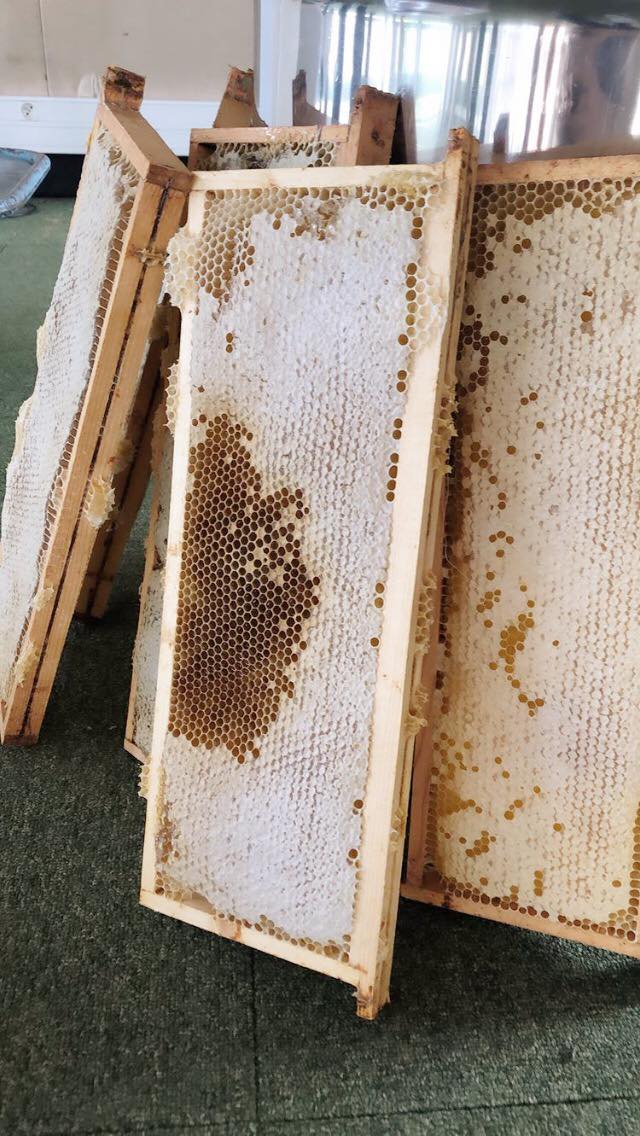 Les ruches sur le toit